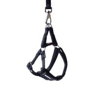 HAPPET Ensemble Laisse et Harnais Soft Style L 2 cm | Ensemble Marche Noir Réfléchissant pour Chiens Moyens et Grands avec Bande Nylon 120 cm, Bretelles Réglables 34-59cm, Éléments Réfléchissants