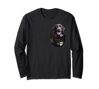 Happy Chocolate Lab Dog in Pocket, Amateur de Labrador Retriever Manche Longue