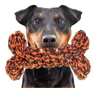 Happy Pet Nuts For Knots Extreme Bone Gris / Orange
