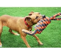 Happy Pet Nuts For Knots Extreme Spool 8 Shape Tugger Grey / Orange