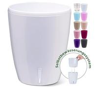 Happy Plants Pot à orchidées, diamètre : 15 cm, avec indicateur de niveau d'eau intégré, pot de fleurs auto-irriguant, avec mèche, système d'auto-irrigation pour orchidées, blanc, 2 l