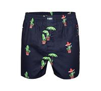 Happy Shorts Boxer américain pour homme - Motif cactus mexicain - Cactus mexicain, Cactus mexicain, L