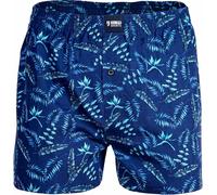 Happy Shorts Boxer américain pour homme - Motif cactus mexicain - Cactus mexicain, Hawaii, S