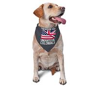 Happy Treason Day Ungrateful Colonials Spring Dog Bandanas Boy Bulk Puppy Foulard Réglable Doux Triangle Bavoirs Accessoires pour Petits Moyens Grands Chiens Chats Blanc