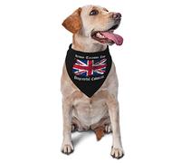 Happy Treason Day Ungrateful Colonials Spring Dog Bandanas Boy Bulk Puppy Foulard Réglable Doux Triangle Bavoirs Accessoires pour Petits Moyens Grands Chiens Chats Blanc
