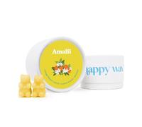 Happy Wax - Cire à fondre Amalfi - Tartelettes en cire de soja entièrement naturelles, en forme d'ours, boîte de 102,1 g - Parfait pour les chauffe-cires, les fonseurs de cire et les parfums d'intérieur