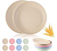Happybase Lot de 8 assiettes plates légères et incassables de 20,3 cm en plastique, passent au lave-vaisselle, au micro-ondes, pour dessert, pizza, pâtes, pain, collation, salade, pique-nique, camping