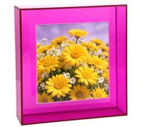 HappyDino Cadre photo flottant en acrylique pour mur et table - Couleur vive décorative - Violet - 20,3 x 20,3 cm