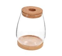 Happyyami 1 Jeu Pot De Fleur Hydroponique Bouteille Récipient en Verre pour Terrarium Plantes De Terrarium Récipient De Terrarium en Verre Terrarium Vide Terrarium Écosystème Un Verre