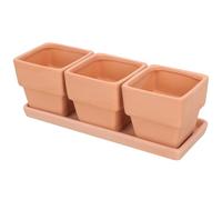 Happyyami 1ensemble Pots Terre Cuite Rouge pour Plantes Intérieur avec Plateau pour Et Cactus De Pots Décoratifs Respirants pour Jardin Et Bureau