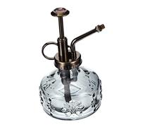 Happyyami 1pièce Vaporisateur Verre Rétro pour Plantes Arrosoir à Main Élégant Verre avec Tête pour Succulentes Petites Plantes Intérieur Décoration De Jardin Vintage