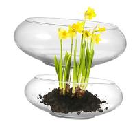 Happyyami 2 Pièces Bassin Narcisse Vase Rond Pot De Plante De Terrarium Plantes De Terrarium Vase à Fleur Rond Terrarium Végétal Vase à Fleurs Globe Vase Cruche des Vases Bagatelle Un Verre