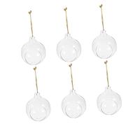 Happyyami 6 Pièces Vasque Suspendue Boule de Verre Pot Suspendu Grand Vase Bougie bougeoir Verre Pots de Fleurs Bouteille Transparente Bouteille en Verre Suspendue Bricolage Corde de