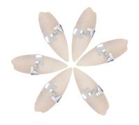 Happyyami 6ensemble Coffret De Seiche pour Oiseaux Et Petits Animaux Jouets à Mâcher Cuttlefish avec Support Métallique pour Perroquets Hamsters Et Reptiles