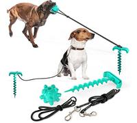 Happyyami Câble Dattache pour Chien Piquet Dextérieur Ancrage pour Chien De Plage Équipement De Jeu pour Animaux De Compagnie Nettoyage des Dents Meulage