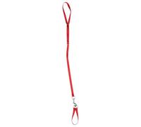 Happyyami Corde de Bain en Nylon Rouge pour Animaux, Laisse de Toilettage Sécurisée Ne Serrant Pas, pour Bain et Toilettage des Chiens en Toute Sécurité Couleur Aléatoire Plusieurs Styles