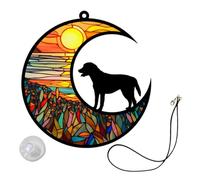Happyyami Décoration Murale En Acrylique Représentant Un Chien Sur La Lune Souvenir Dun Animal De Compagnie Pour La Maison