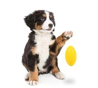 Happyyami Jouet à Mâcher pour Chiens Ballon De Rugby Éducatif pour Petits Et Moyens Chiens Fournitures De Nettoyage Amusantes pour Animaux De Compagnie à Domicile Jaune