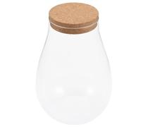 Happyyami Terrarium en Verre pour Paysage de Bryophytes Couvercle en Bois, Bouteille Hydroponique Multifonctionnelle pour Plantes et Décoration de Table Intérieure