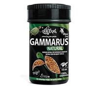 Haquoss Gammarus Aliment Naturel en crevettes séchées pour Tortues Aquatiques, 100 ml/11 GR