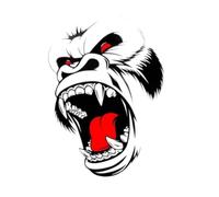 harayaa Autocollants pour Capot, Autocollants pour, Autocollants pour Voiture, Autocollants Latéraux pour Voitures et Autobus