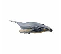 harayaa Figurine Animalière Éducative Baleine Modèle Marin Jouet Finition Réaliste Observation PVC Adaptée pour Collectionneurs Apprentissage Bureau Salle de nfants Maison 22x9.2x4.2cm