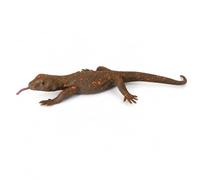 harayaa Figurine IGN Évoquant et Construction Souple en Plastique Fiable Jouet D Espèce Menacée pour Histoires Inventives et Caaux Éducatifs Adapté aux Familles Naturalistes, Style to 1