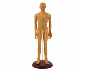 harayaa Mannequin d'Acupuncture Modèle d'Étude Figurine de Formation Support Pédagogique Chemins Méridiens et Points Marquages Complets en Pvc Rigide Adapté à, 62 Cm, style to 3