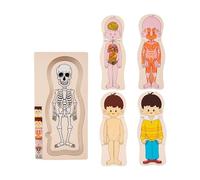 harayaa Puzzle D'anatomie pour Enfants, Jeu de Construction En Bois, Garçon