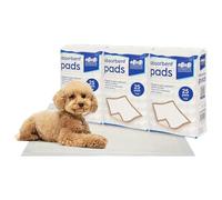 Harbour Housewares Grandes Protections d'Entraînement Jetables pour Chiots & Chiens - 60x60cm - 75x Tapis pour Chiots Absorbants, Chats, Chatons, Toilette, Tapis d'apprentissage de la Propreté