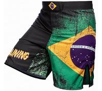 Hardcore Training Short de Combat MMA Homme Arts Martiaux BJJ Boxe Muay Thai Grappling No Gi (FR/ES, Alpha/Lettres, 5TG, Taille Normale, Taille Normale, Black Green Yellow)
