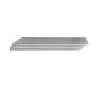 HARDY WORKING TOOLS Lames pour enduit 100 cm - Lames de rechange - Lame interchangeable - spatule de surface en acier inoxydable - Spatule pour enduire - 5 pièces
