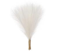 Harewtwy 5 Pièces Faux Herbe de Pampa, 18In/45Cm Pompous Herbe Arrangement de Fleurs pour (Blanc)