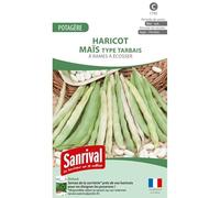 Haricot à rames Maïs (Tarbais à Ecosser)