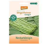 Haricot à rames - Neckarkönigin