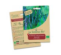 Haricot Blauhilde - 75 gr - La Semence Bio