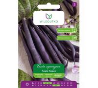 Haricot nain à gousses violettes Purple Teepee - précoce