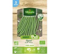 Haricot nain filet sans fil signal bio 5M Vilmorin