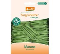 Haricot nain - Marona
