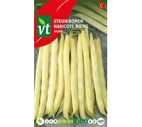 Haricot nain Valdor Graines - Environ 50 gr | VT_949