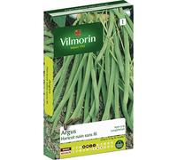 Vilmorin - Graines de Haricot nain sans fil ARGUS vilmorin