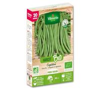 Haricot nain vert sans fil Cupidon bio 20m Vilmorin