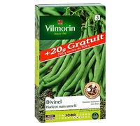 VILMORIN-Graines de haricot nain divinel Vilmorin - graines à semer
