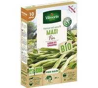 Vilmorin - Graines de Haricot vert sans fil MAXI 10 mètres