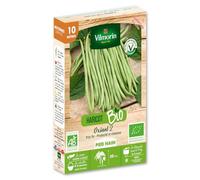 Haricot Nain Vert Oxinel 2-10 m - BIO