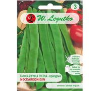 Haricot vert à gousse verte Neckarkönigin (Hilds Neckarkönigin) - variété mi-précoce