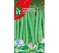 Haricot vert Montano Graines - Environ 50 gr | VT_166