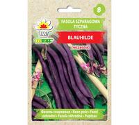 Haricot violet BLAUHILDE 10g Toraf