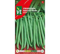 Haricots Ampere Graines - Fines gousses