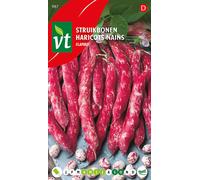 Haricots Flambo Graines - Environ 40 gr | VT_987